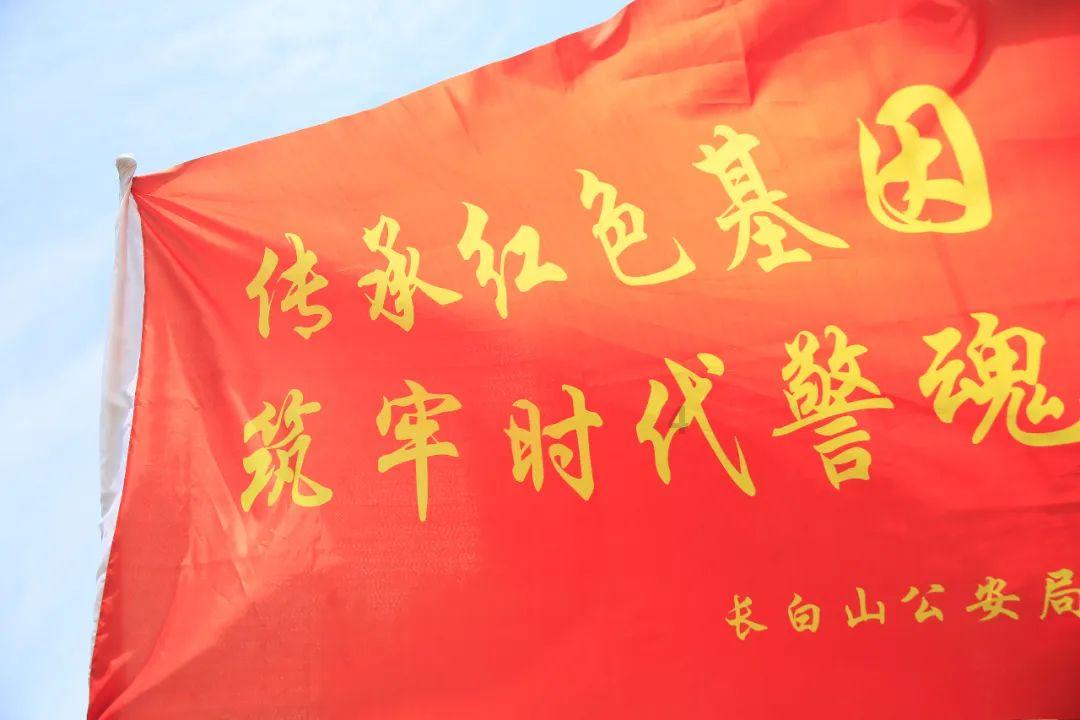 小鸡要回家