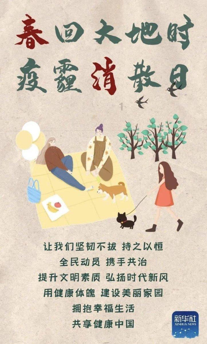 深度测评：五款热销电动观光车性能大比拼